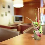 Arotel Living Hotel